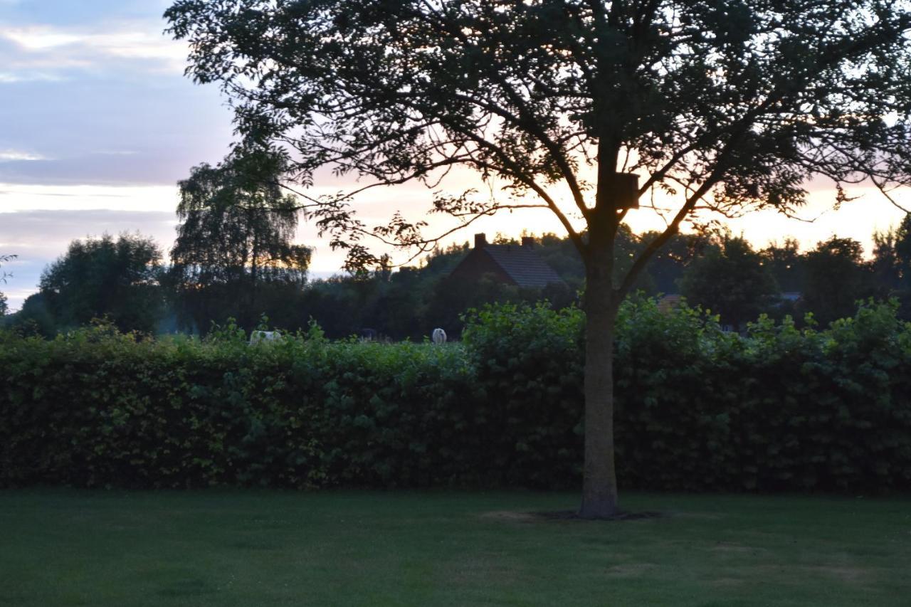 Campsite Happy Home-slapen Onder De Sterren *